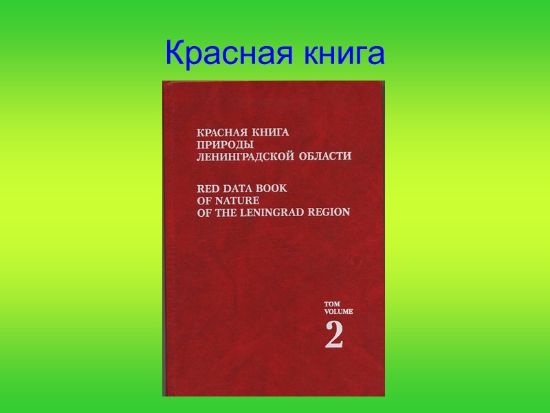 Красная книга